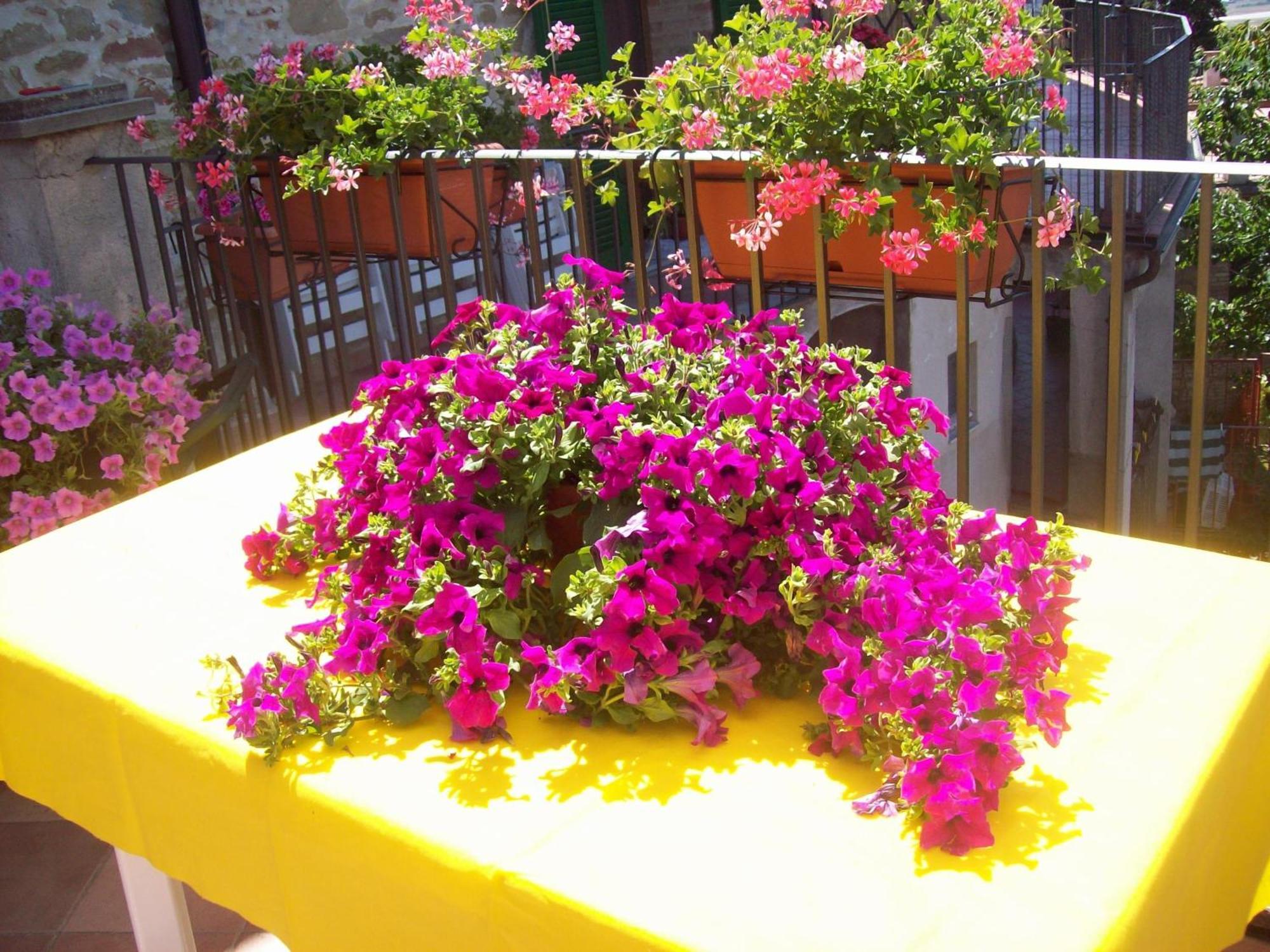 La Terrazza Fio...Rita Bed and Breakfast Ripa Buitenkant foto